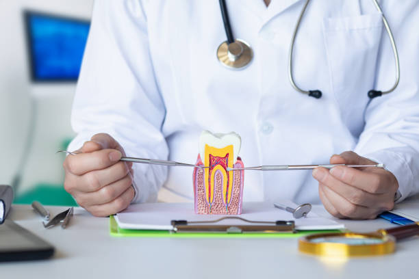 Best Emergency Dental Care for Broken or Chipped Teeth in Whetstone, AZ